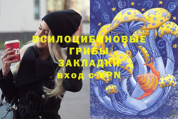 PSILOCYBIN Баксан