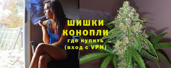 PSILOCYBIN Баксан