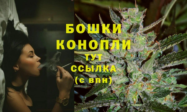 PSILOCYBIN Баксан