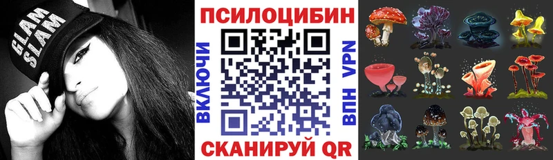 Псилоцибиновые грибы MAGIC MUSHROOMS  купить наркотик  Ликино-Дулёво 
